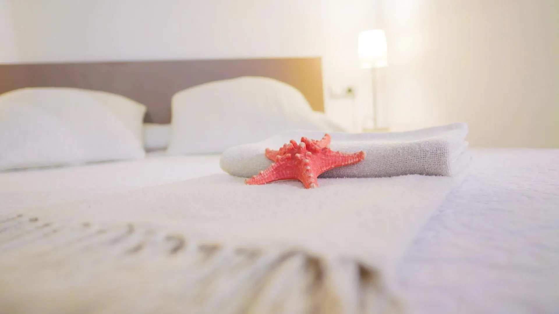 Apartamento Luminoso Y Proximo Al Mar En El Casco Historico De La Ciudad Palma de Mallorca Apartment
