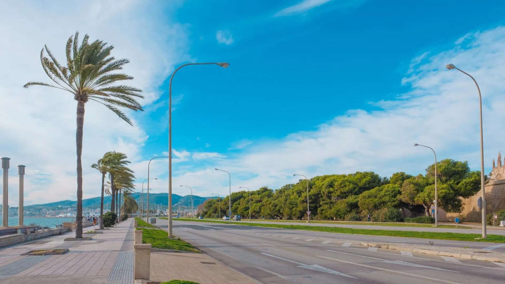 Apartamento Luminoso Y Proximo Al Mar En El Casco Historico De La Ciudad Palma de Mallorca